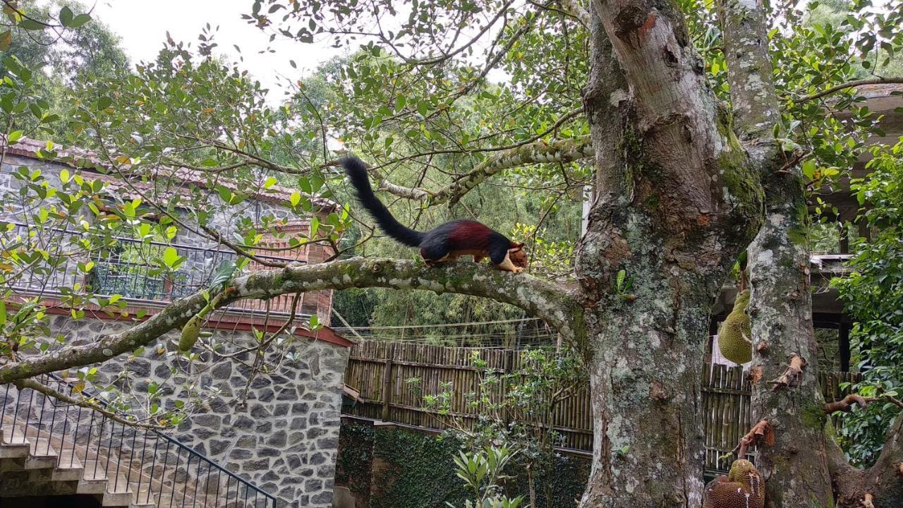Wildernest Acomodação com café da manhã Thekkady Exterior foto