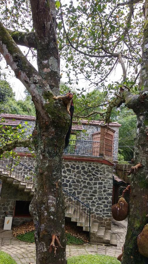 Wildernest Acomodação com café da manhã Thekkady Exterior foto